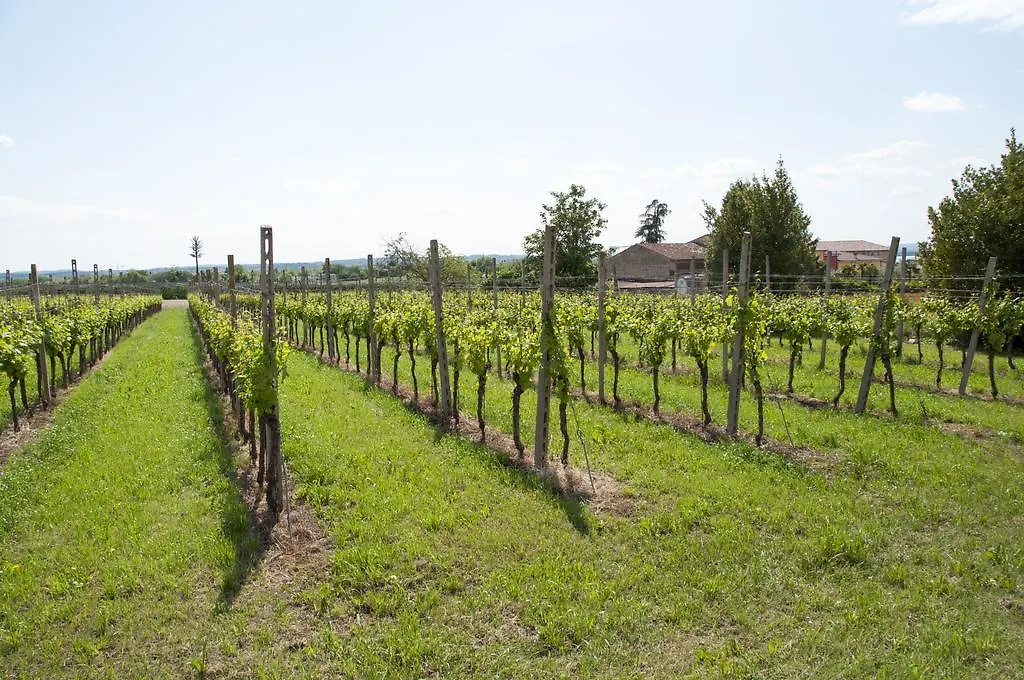 Ferienwohnung Da Giorgio Lazise Italien